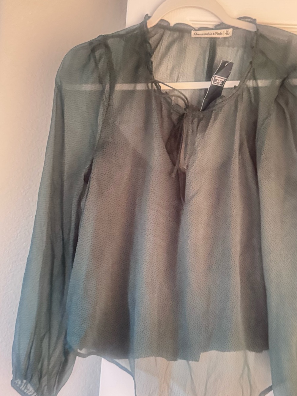 Abercrombie & Fitch Sheer crop  Green Tie-Neck Blouse -NWT